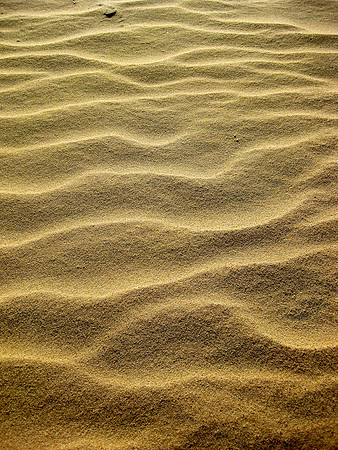 Sand Waves