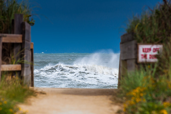 Stay Off the Dunes