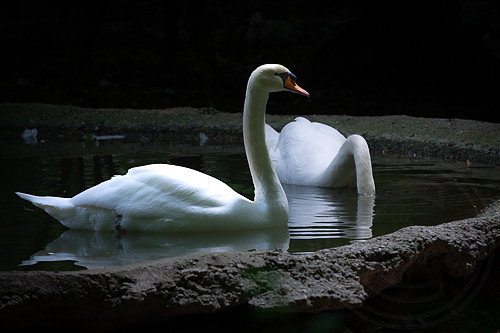 20250508-DSC_4703-Edit