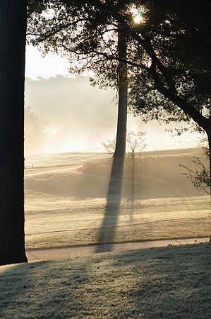 Shadow Cast