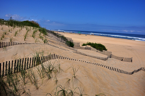 Sand Fences