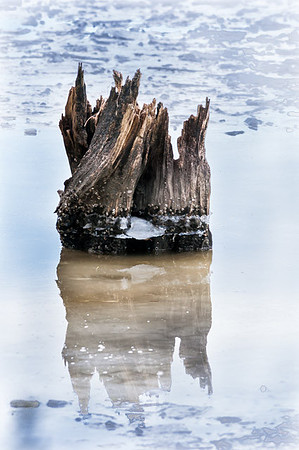 Ice Stump
