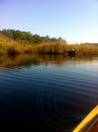 Marsh