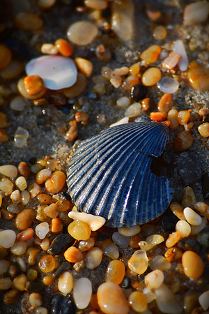 Grains of Sand