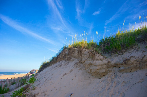 Dune Halo