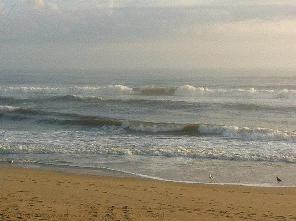 Grainy sea shore