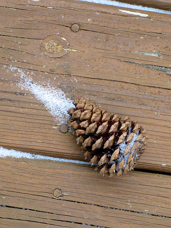 Shooting Cone