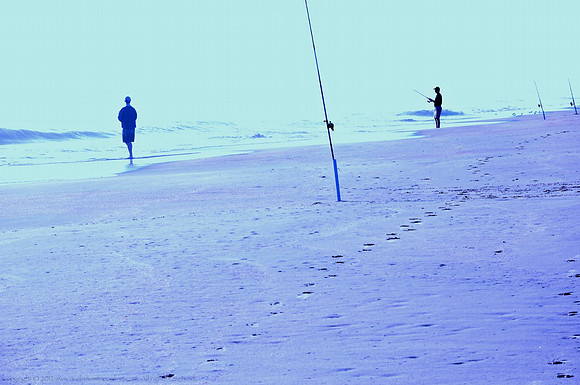 Blue Fishing