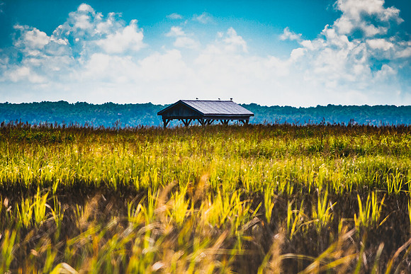 Marsh Boat House