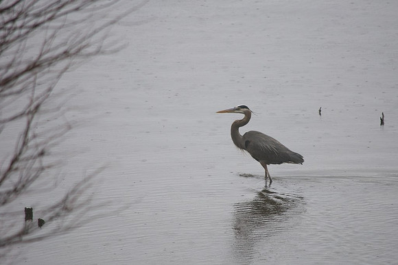 Lunch in the Rain