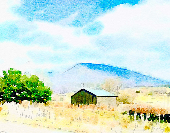 Country side