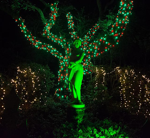 Green Lady