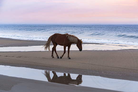 Morning Reflections