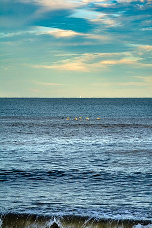 Sail Boat, Birds Beach