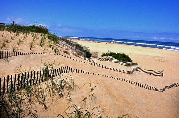 Sand Fences and Sea Oats