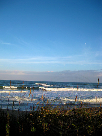 Moon over Sea Oats
