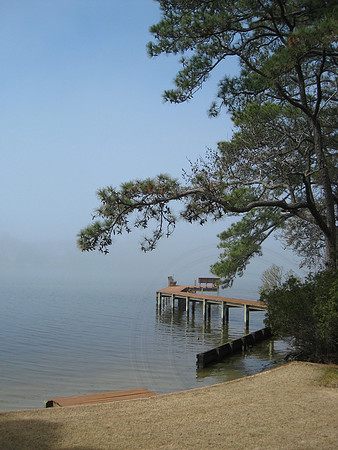 Rolling Fog