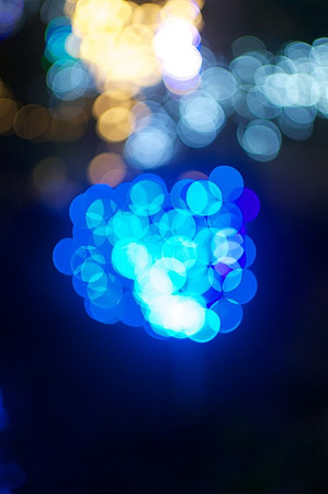 Blue Berries